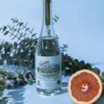 Gin Príncipe de los Apóstoles